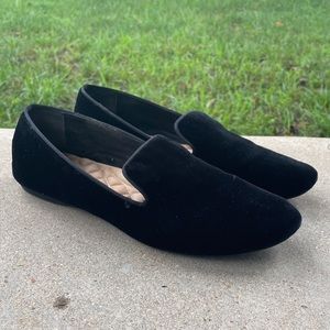 Birdies Black Velvet Starling Loafer
